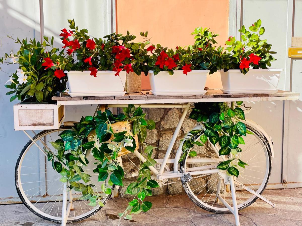 Casa Rafanelli Appartement Monforte dʼAlba Buitenkant foto